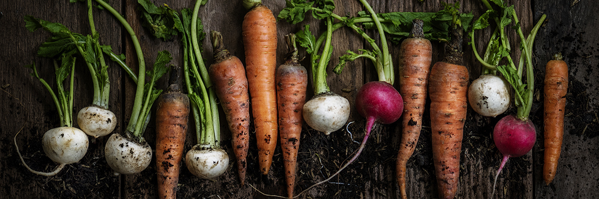 organic vegetables grown in townhome garden