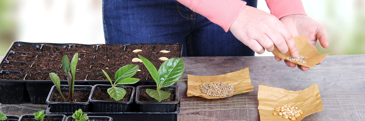 home builders near me planting trees