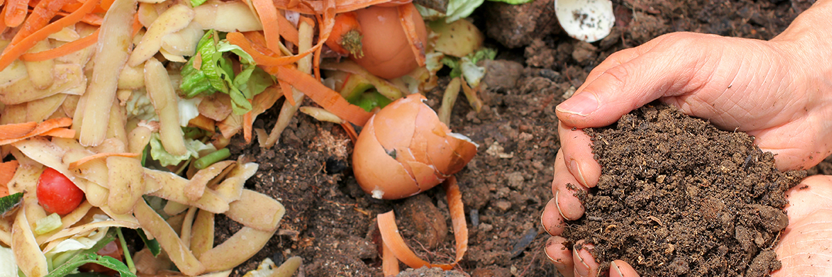 composting locally grown organic vegetables