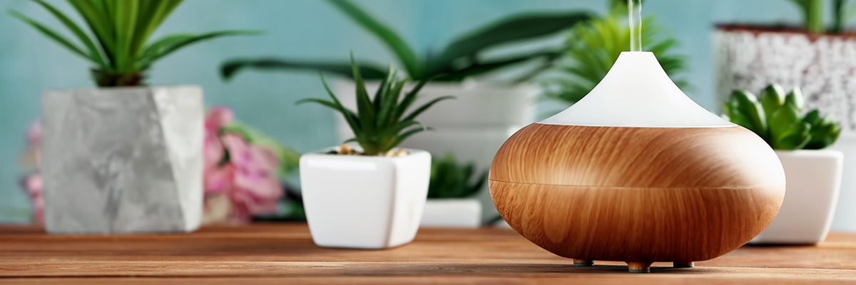 Potted plants on side table