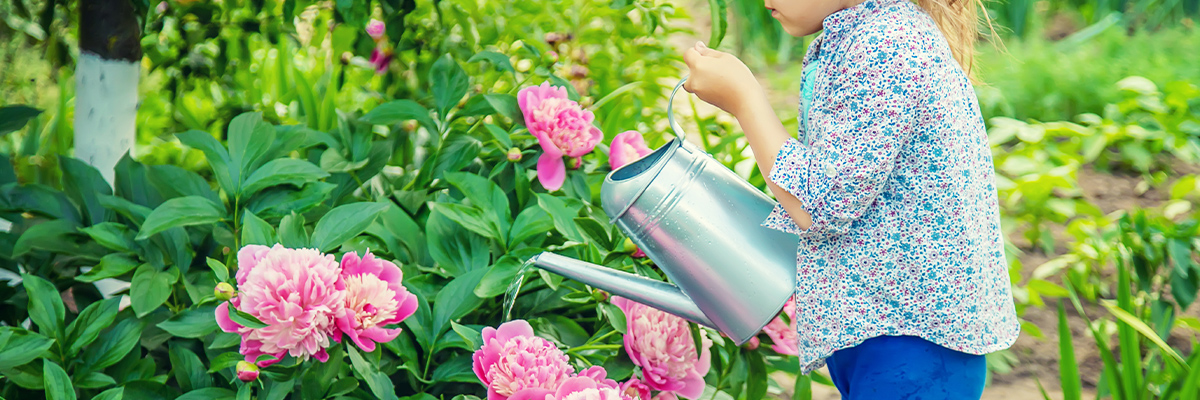 Girl watering flowers