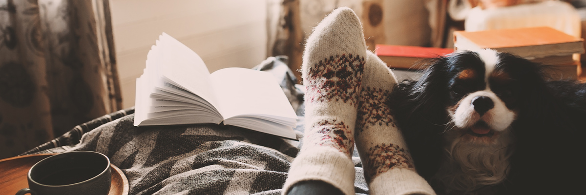 Warm feet in socks next to dog on bed